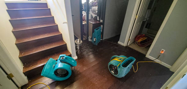 Best Carpet water damage restoration  in Miles City, MT