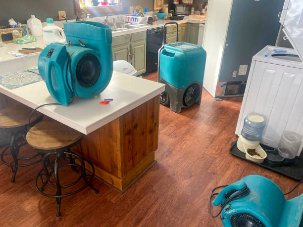 Best 24-hour water damage restoration  in Miles City, MT