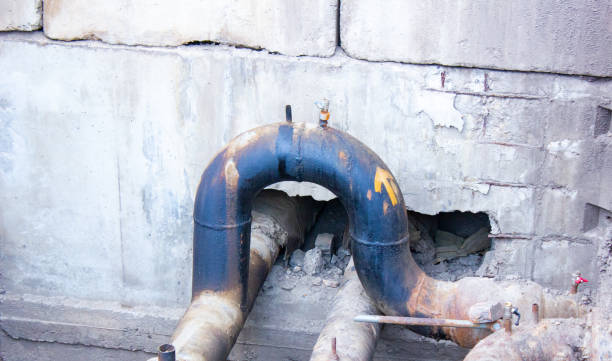 Best Local water damage restoration  in Miles City, MT
